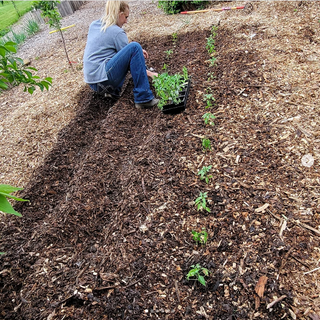 Property Master Plan Program - 1st Year Permaculture Design
