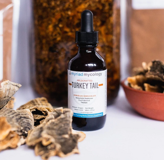 Fruiting Body Tincture Bundle