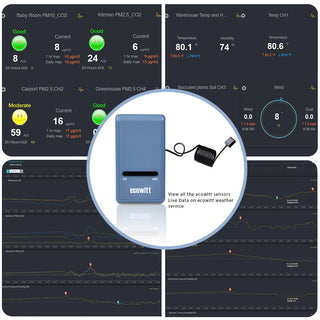 Ecowitt Wifi Gateway