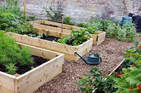 Economy Custom Raised Bed - Customize Your Size (Built to Order)