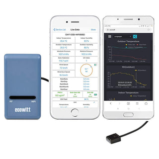 Ecowitt Wifi Gateway