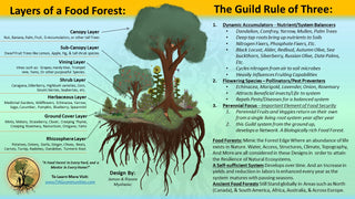 Professional Permaculture Property Design